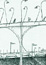 Ponts sur la Sôone